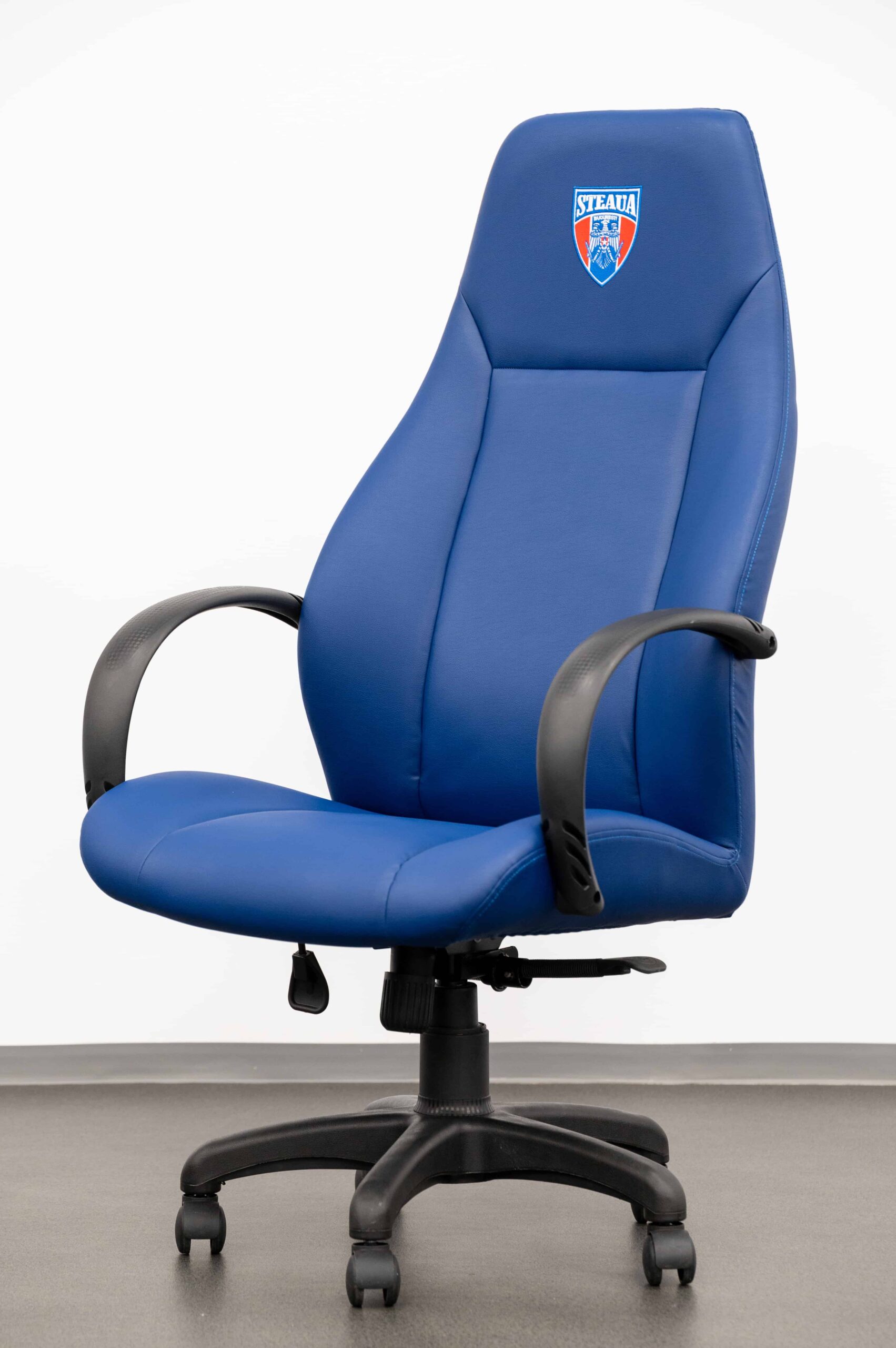 MIR Arena Steau Bucharest Conference Hall Detail 2